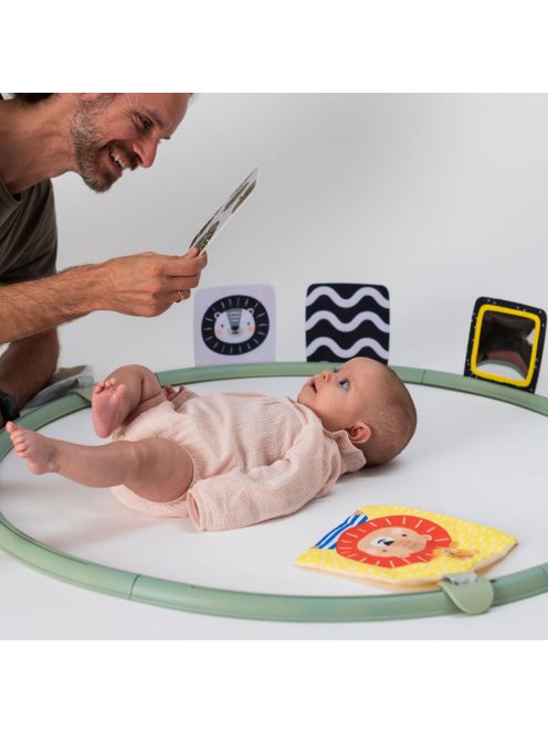 Taf Toys játszókarika Tummy-time trainer 12945