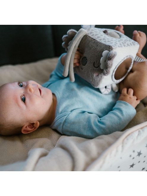 BabyOno játékkocka Koala Coco puha 1637