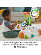 Fisher-Price kétoldalas járássegítő. OUTLET termék