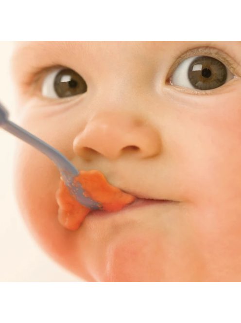 Philips Avent 2:1-ben pároló és turmix SCF870/20 OUTLET termék