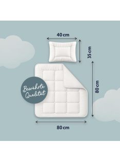   Juilius Zöllner steppelt paplan és párna garnitúra- 80x80cm és 35x40cm, OUTLET termék