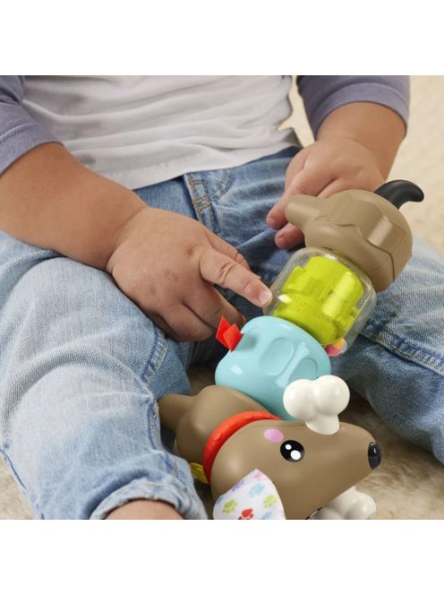 Fisher-Price Kis kedvencek foglalkoztató - Tacsi