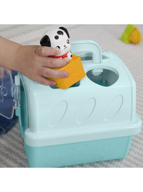 Fisher-Price Kis kedvencek foglalkoztató - Állatkás formaválogató