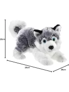 Heunec plüss Husky kutya, OUTLET termék
