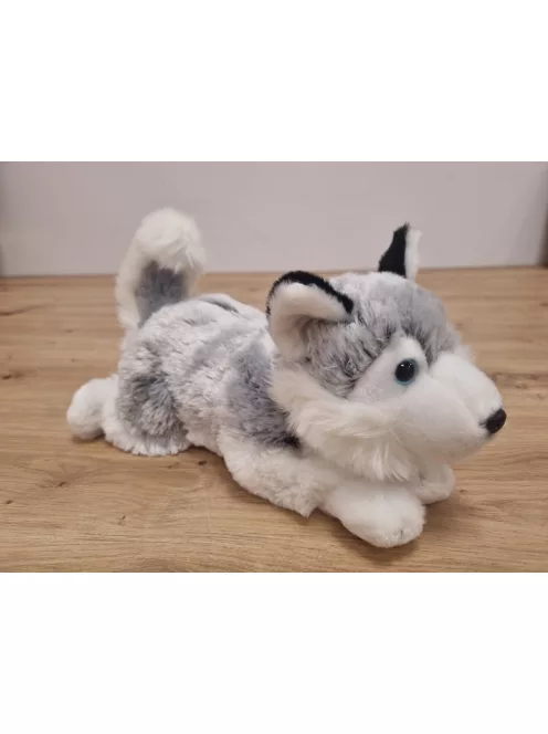 Heunec plüss Husky kutya, OUTLET termék