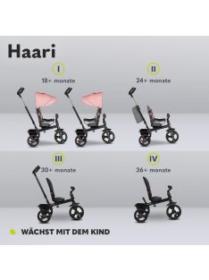 LIONELO Haari 2 az 1-ben gyermek tricikli, OUTLET termék
