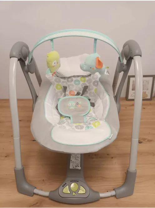 Ingenuity Swing 
